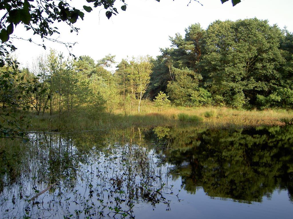 فيلا Ruinenفي Hoeve Den Anholt المظهر الخارجي الصورة