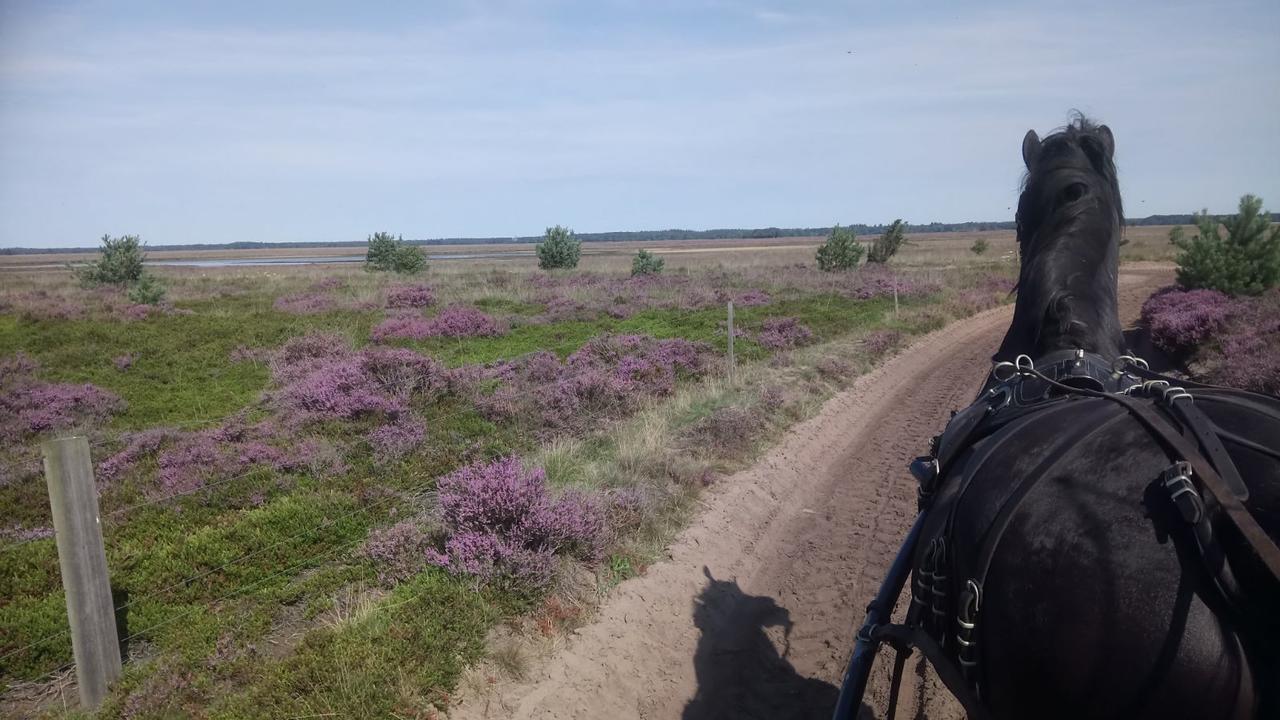 فيلا Ruinenفي Hoeve Den Anholt المظهر الخارجي الصورة