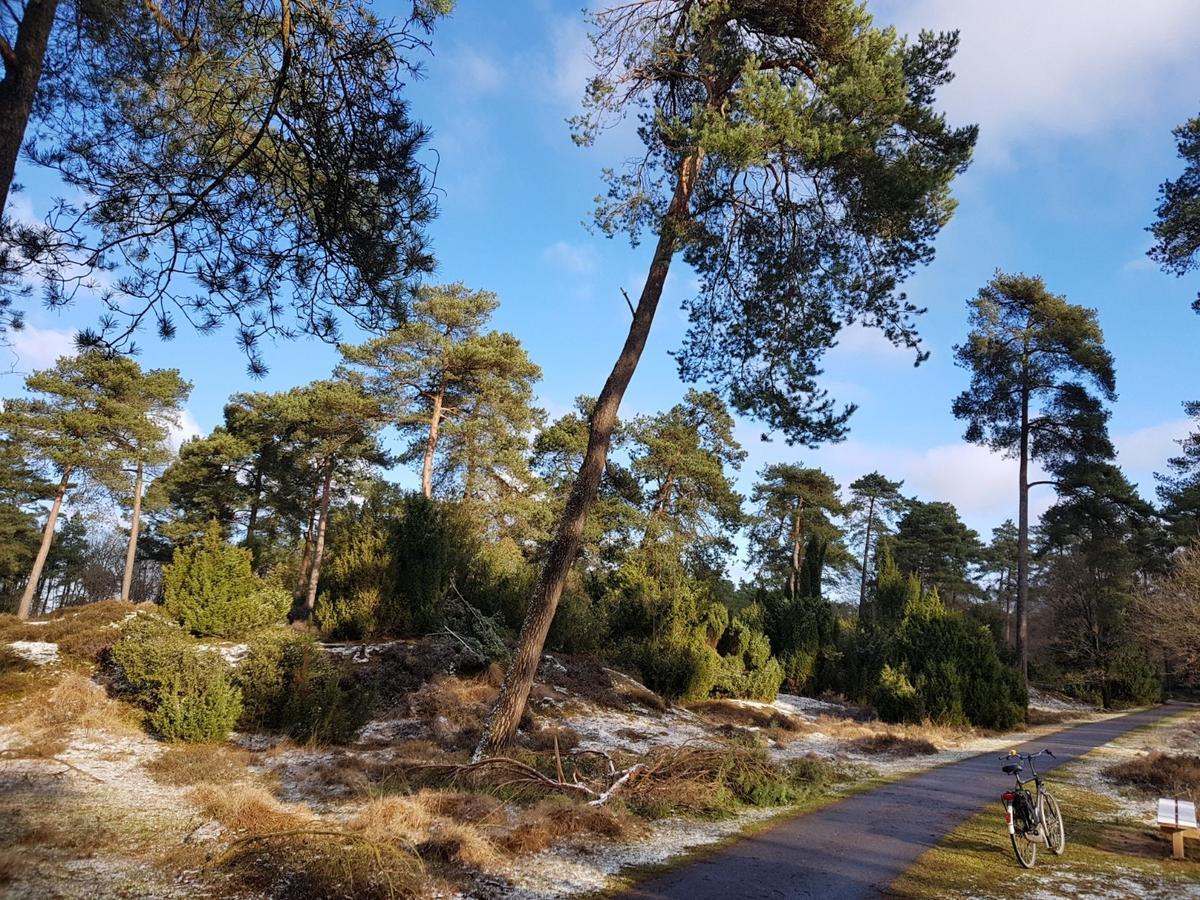 فيلا Ruinenفي Hoeve Den Anholt المظهر الخارجي الصورة