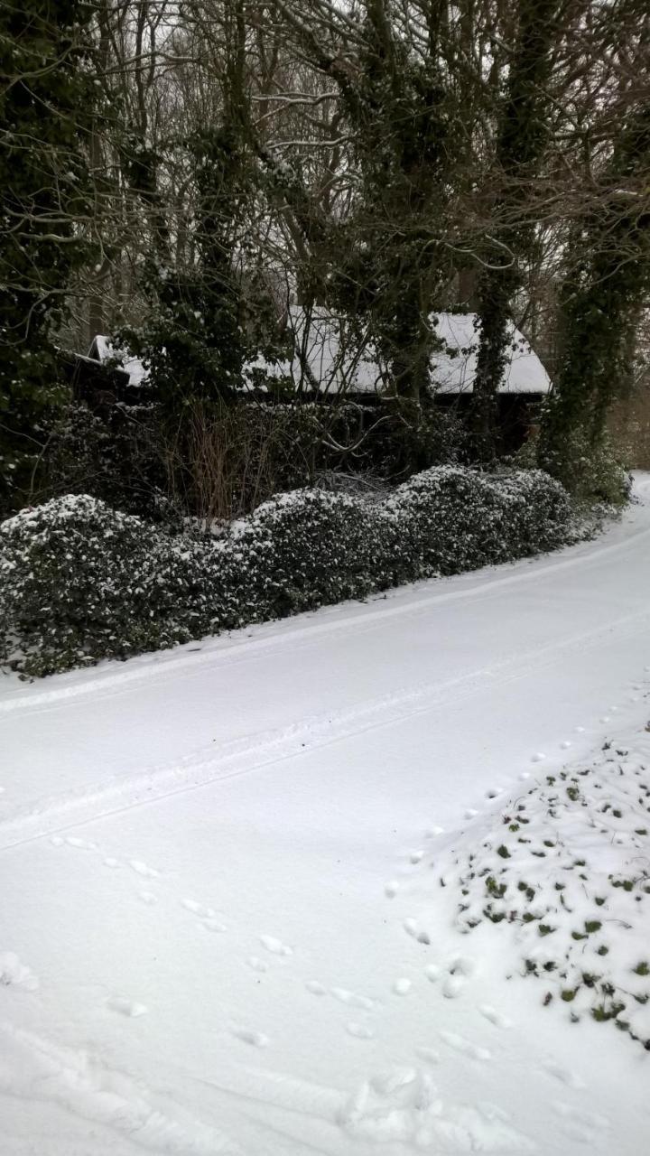 فيلا Ruinenفي Hoeve Den Anholt المظهر الخارجي الصورة