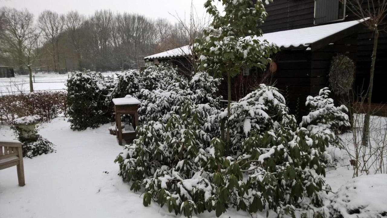 فيلا Ruinenفي Hoeve Den Anholt المظهر الخارجي الصورة