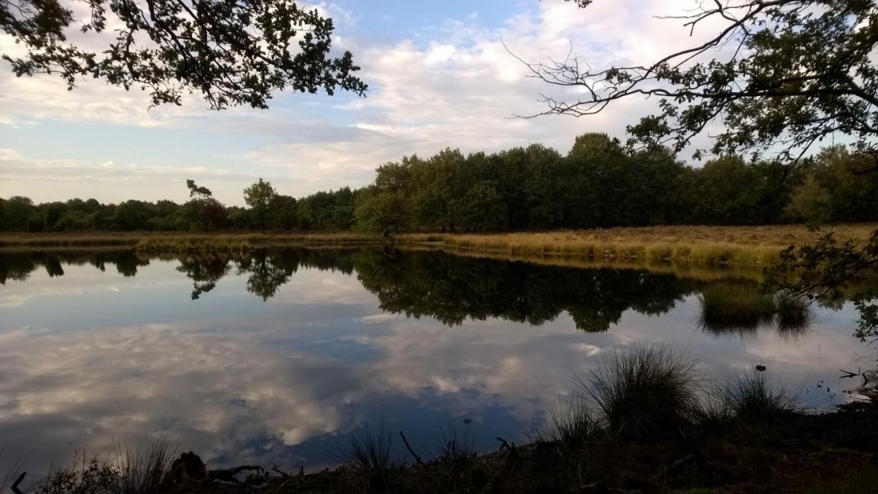 فيلا Ruinenفي Hoeve Den Anholt المظهر الخارجي الصورة