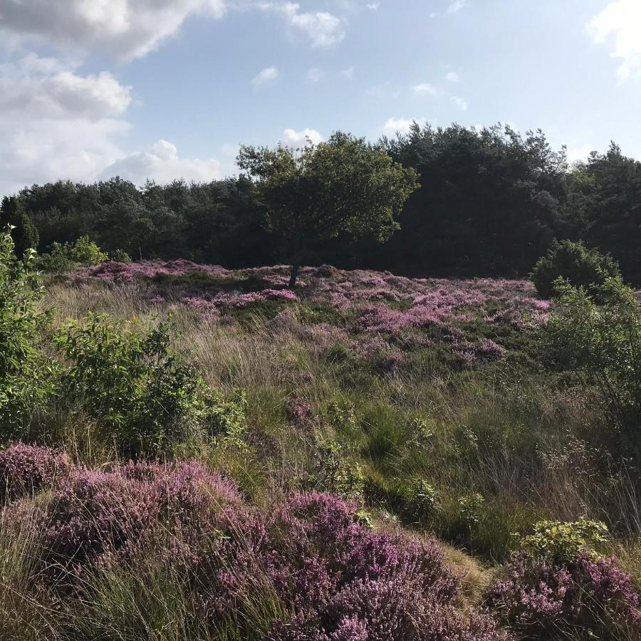 فيلا Ruinenفي Hoeve Den Anholt المظهر الخارجي الصورة