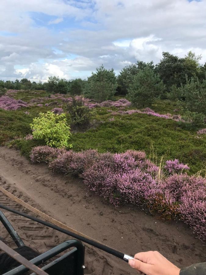 فيلا Ruinenفي Hoeve Den Anholt المظهر الخارجي الصورة