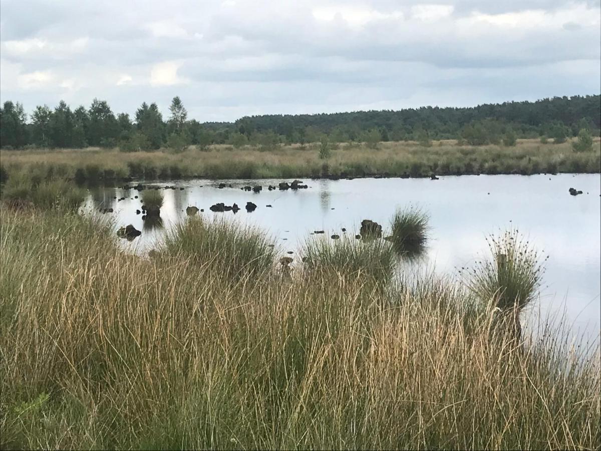 فيلا Ruinenفي Hoeve Den Anholt المظهر الخارجي الصورة