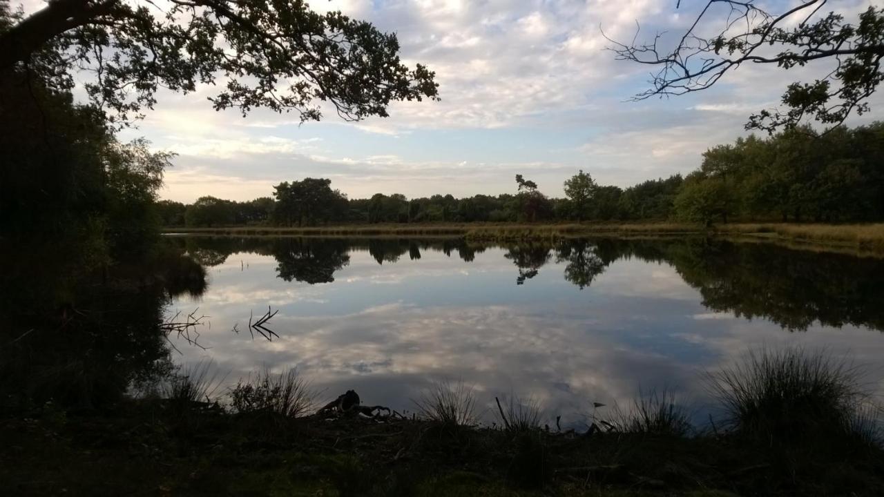 فيلا Ruinenفي Hoeve Den Anholt المظهر الخارجي الصورة
